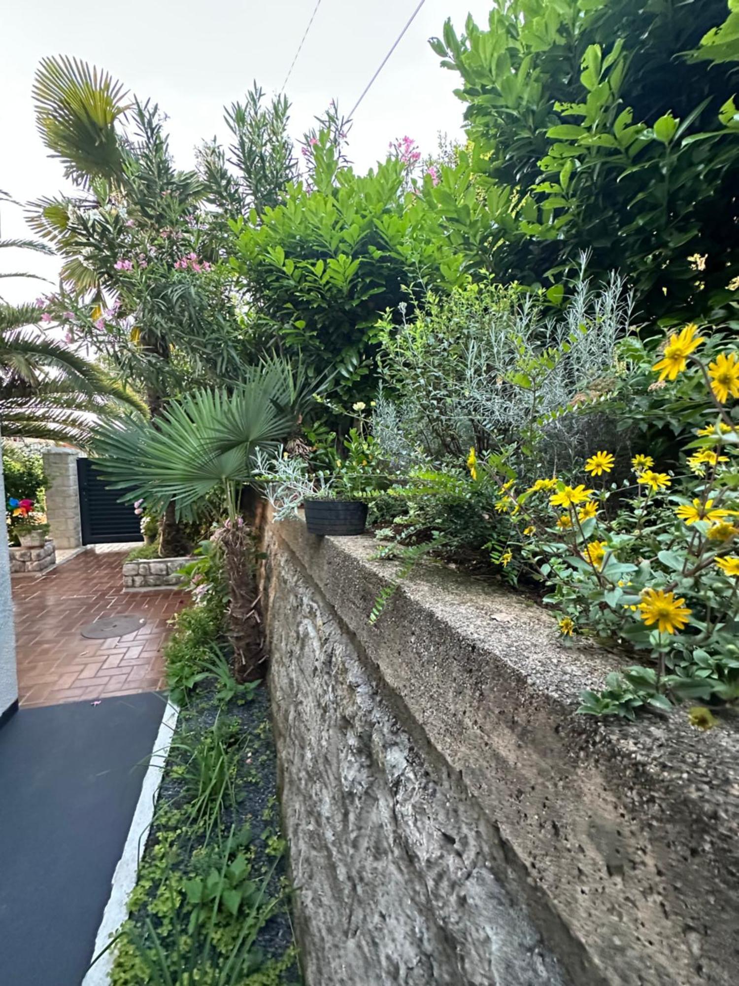 Vacation Home Lucija Slatina  外观 照片
